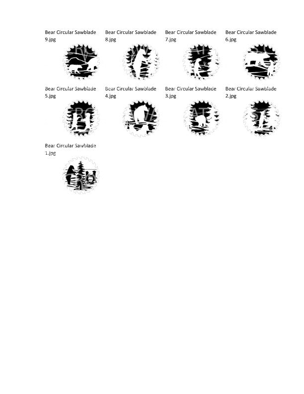 Bear-Patterns-Visual-Reference_page_05.jpg
