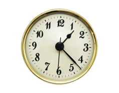CLOCK_INSERT-2-34-Q-81PREM-removebg-preview.png