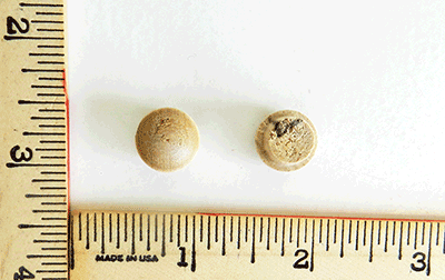 birch-screw-hole-button-wood-plugs-sb-037l--long-shank.extra.png
