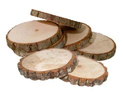 Live Edge Wood Rounds Kit - Pyrography | Pyrography Project Bases - Bear Woods Supply