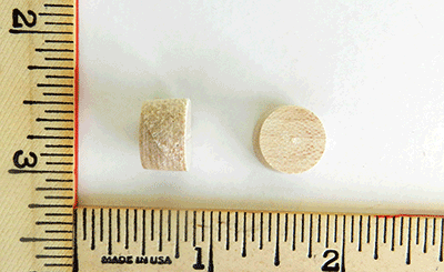 Maple - Side Grain Stair Wood Plugs with Tapered Sides (1/2" Diameter x 5/16" Thick) - Per 5000 Wood Plugs - Wood Parts | Hole Plugs & Buttons - Bear Woods Supply