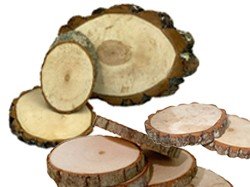 Mix of Standard and Angle Cut Live Edge Wood Rounds - Pyrography | Pyrography Project Bases - Bear Woods Supply