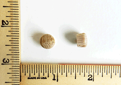 oak-roundhead-wood-plugs-tapered-sides-oh-k37.extra.png