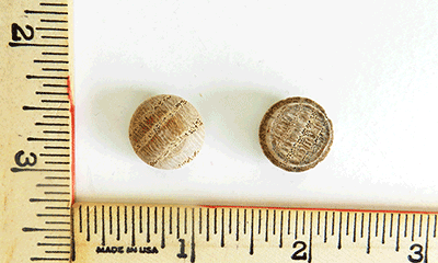 oak-screw-hole-buttoon-wood-plugs-sb-k50.extra.png