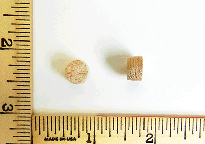oak-side-grain-flathead-wood-plugs-sg-m37..extra.png