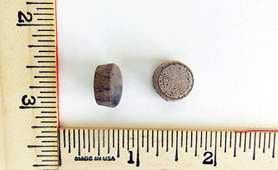 walnut-roundhead-tapered-0.5-wood-plugs-OH-W50.extra.png