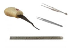 Dept - Hand Tools