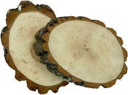 4" - 6" Angle Cut Live Edge Rounds - Pyrography | Pyrography Project Bases - Bear Woods Supply