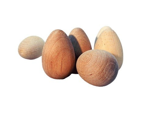 FR-E06WhiteBackground.jpg
