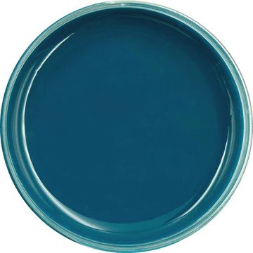 bondi-blue-jr2.jpg