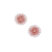 bristle-discs-product.jpg