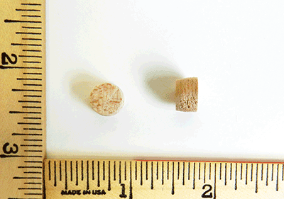 MAPLE - Side Grain Flat Head Wood Plugs with Tapered Sides, (3/8" Diameter by 1/4" Thick) - Per 100 Wood Plugs - Wood Parts | Hole Plugs & Buttons - Bear Woods Supply