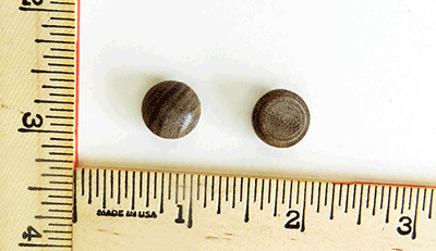 walnut-screw-hole-button-sb-w37-wood-plugs.extra.png
