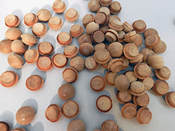 Cherry Mushroom Button Wood Plugs | Bear Woods Supply
