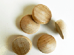 Buy round head Birch wood plugs | Bear Woods