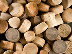 Buy round head Poplar wood plugs | Bear Woods Canada