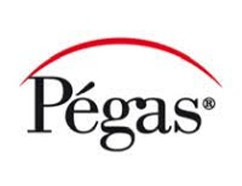 Pegas Scroll Saw Blades Selection