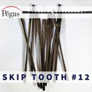 Skip Tooth Scroll Saw Blades number 12 by Pegas