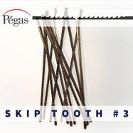 Skip Tooth Blades number 3 by Pegas