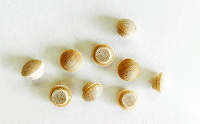 Buy Birch Screw Hole Button Wood Plugs with Tapered Sides| Bear Woods Supply