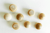 Buy Birch Screw Hole Button Wood Plugs with Tapered Sides | Bear Woods Supply