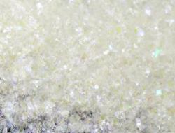 northern lights glitter counter culture