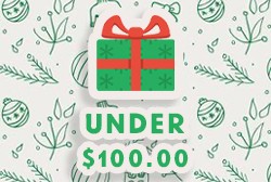 Gifts under $100